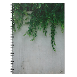 CUADERNO FOTO DE SHALLOW FOCUS DE PLANTAS FERN