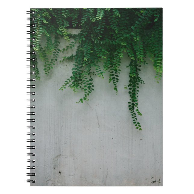 CUADERNO FOTO DE SHALLOW FOCUS DE PLANTAS FERN (Frente)
