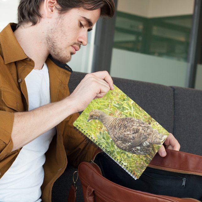 Cuaderno Foto de Sooty Grouse Wildlife (In Situ)