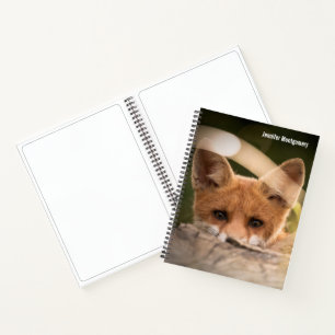 Cuaderno Foto de un Pequeño Naranja Fox
