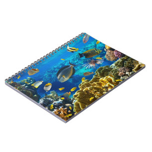 Cuaderno Foto de un pescado tropical en un arrecife de