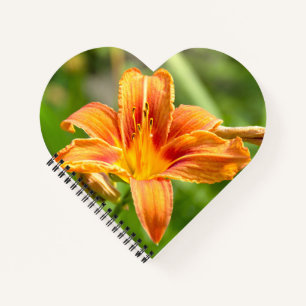 Cuaderno Foto de una flor de Lily grande