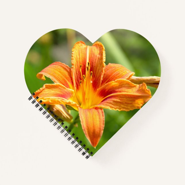 Cuaderno Foto de una flor de Lily grande (Anverso)