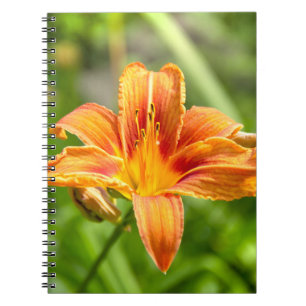 Cuaderno Foto de una flor de Lily grande