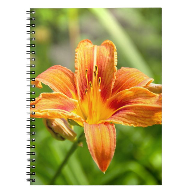 Cuaderno Foto de una flor de Lily grande (Frente)