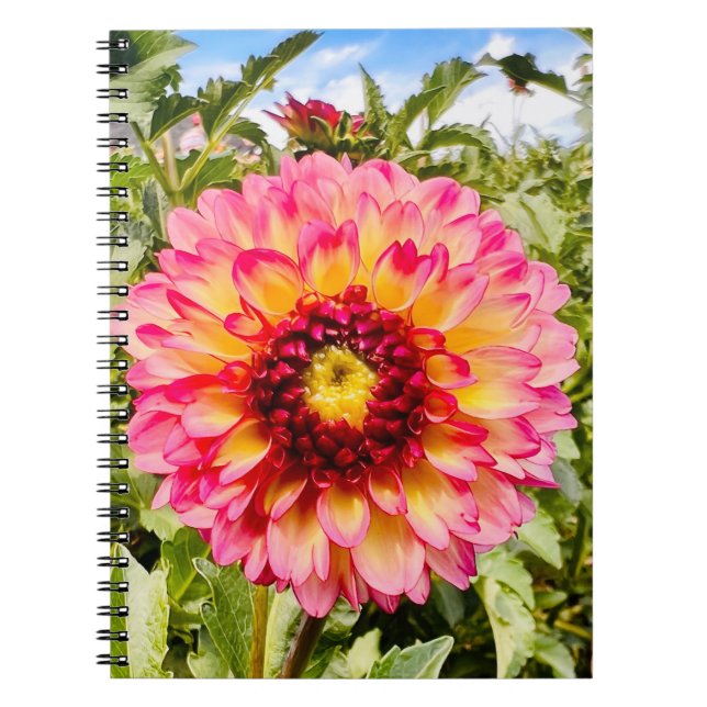 Cuaderno Foto de una flor de Nueva Inglaterra (Frente)