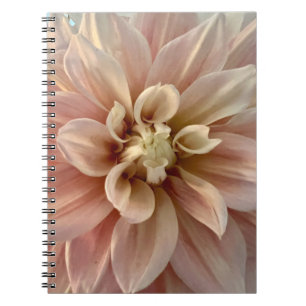 Cuaderno Foto de una flor de Nueva Inglaterra
