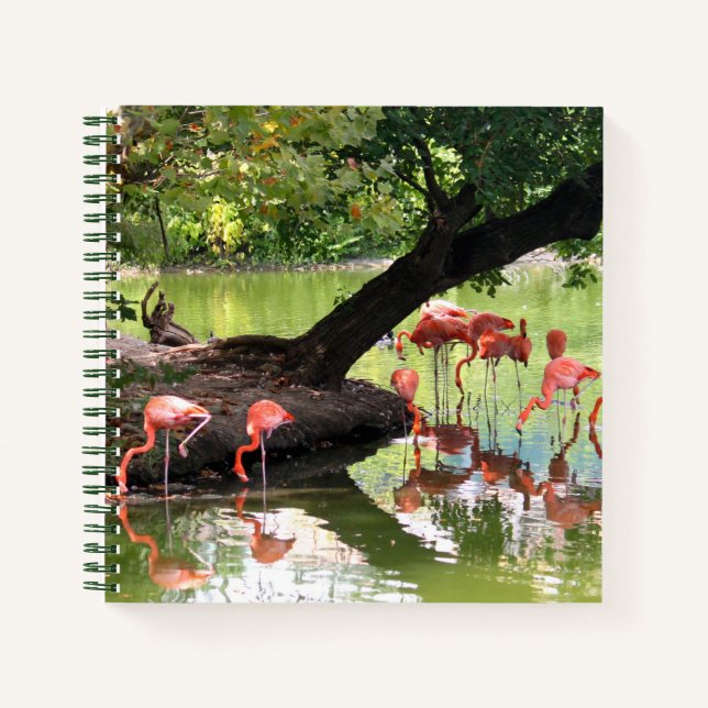 Cuaderno Foto De Vida Silvestre De La Bloca De Flamingo Ros (Anverso)