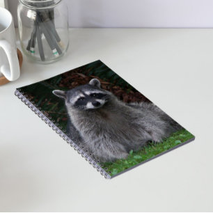 Cuaderno Foto de vida silvestre de mapache de bosque lindo
