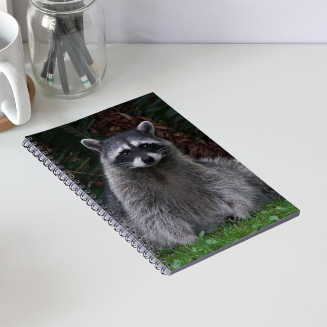 Cuaderno Foto de vida silvestre de mapache de bosque lindo (In Situ)