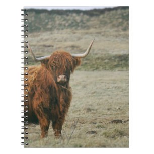 CUADERNO FOTO DE VINTAGE HIGHLAND CATTLE COW