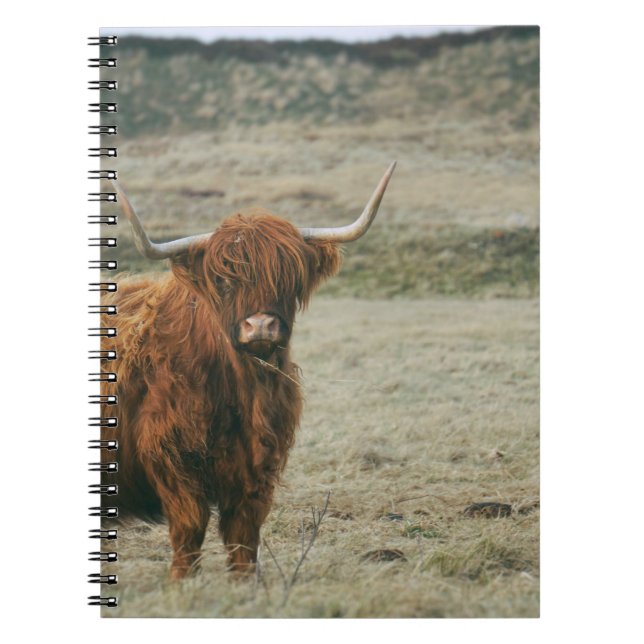 CUADERNO FOTO DE VINTAGE HIGHLAND CATTLE COW (Frente)