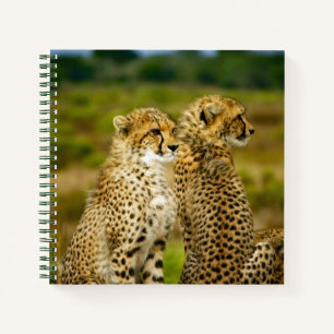 Cuaderno Foto de Wildlife Cheetah