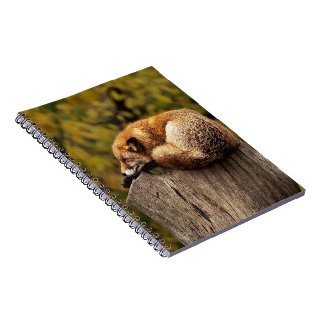 Cuaderno Foto de zorro dormido (Lado Derecho)