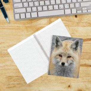 Cuaderno Foto de Zorro Rojo Adorable