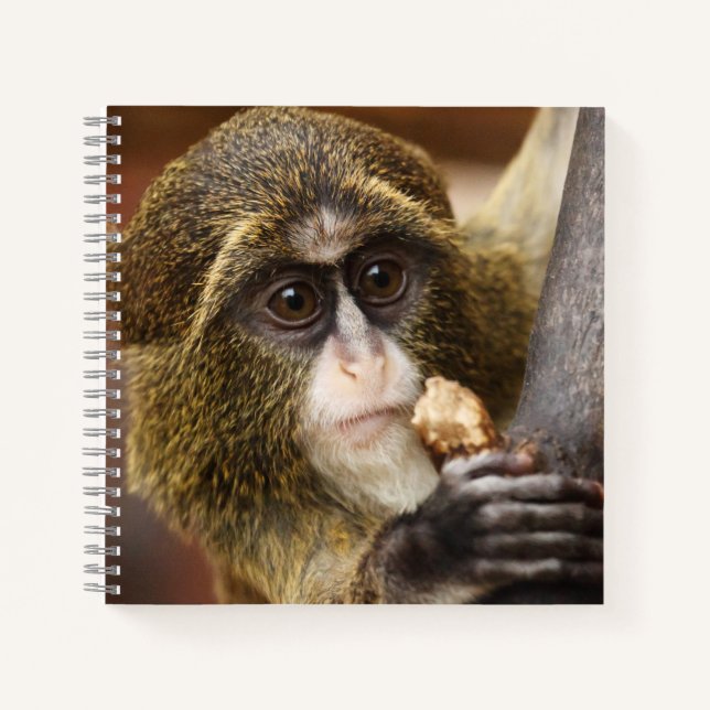 Cuaderno Foto del árbol de escalada de monos (Anverso)
