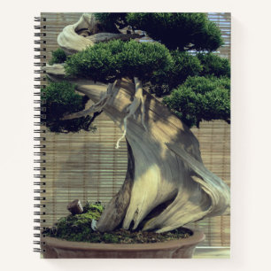 Cuaderno Foto del árbol de Juniper Chino Bonsai
