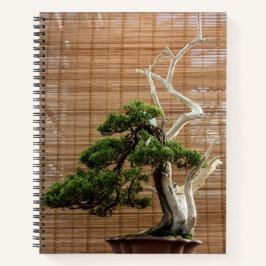 Cuaderno Foto del árbol de Juniper Chino Bonsai