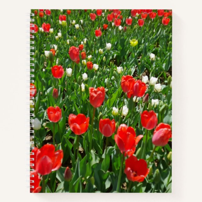 Cuaderno Foto del campo de la flor de tulipán roja (Anverso)