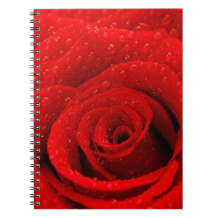 Cuaderno Foto del fondo del rosa rojo