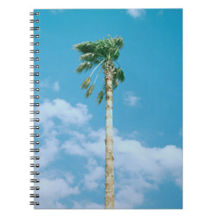 Cuaderno Foto en ángulo bajo de palmeras bajo cielo azul