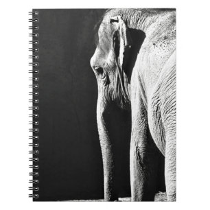CUADERNO FOTO EN GRAN ESCALA DE ELEFANTE