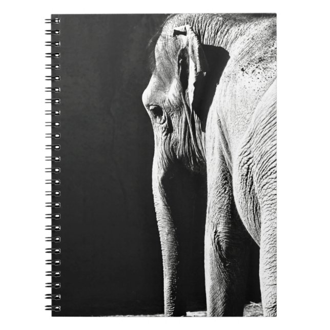 CUADERNO FOTO EN GRAN ESCALA DE ELEFANTE (Frente)