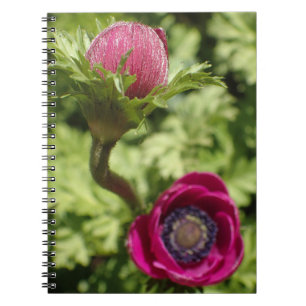 Cuaderno Foto en macro de flor violeta rosa exótico