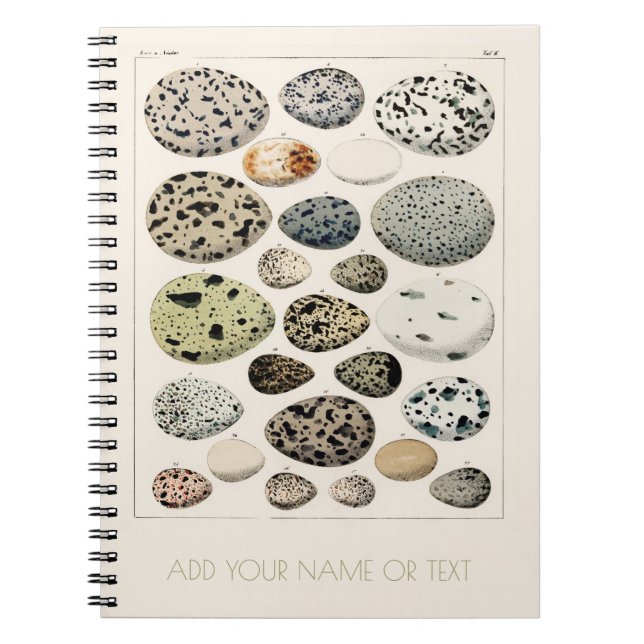 CUADERNO FOTO ESPIRAL NOTEBOOK : VINTAGE BIRDS HUEVO CHART (Frente)