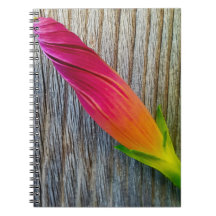 "Foto floral