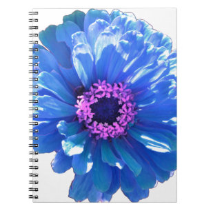 Cuaderno Foto floral azul margarita