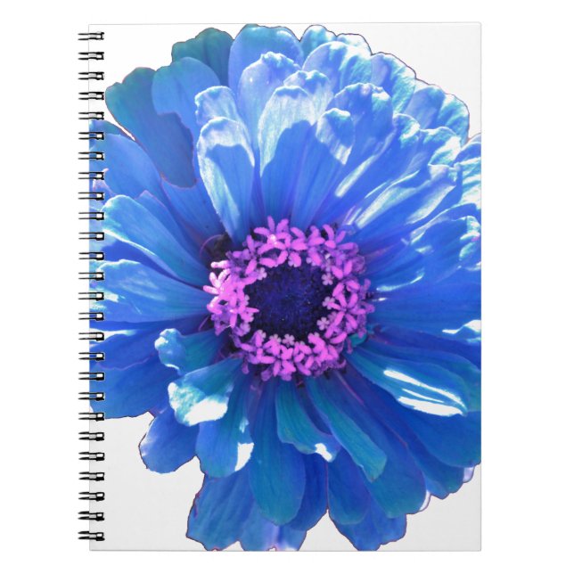 Cuaderno Foto floral azul margarita (Frente)