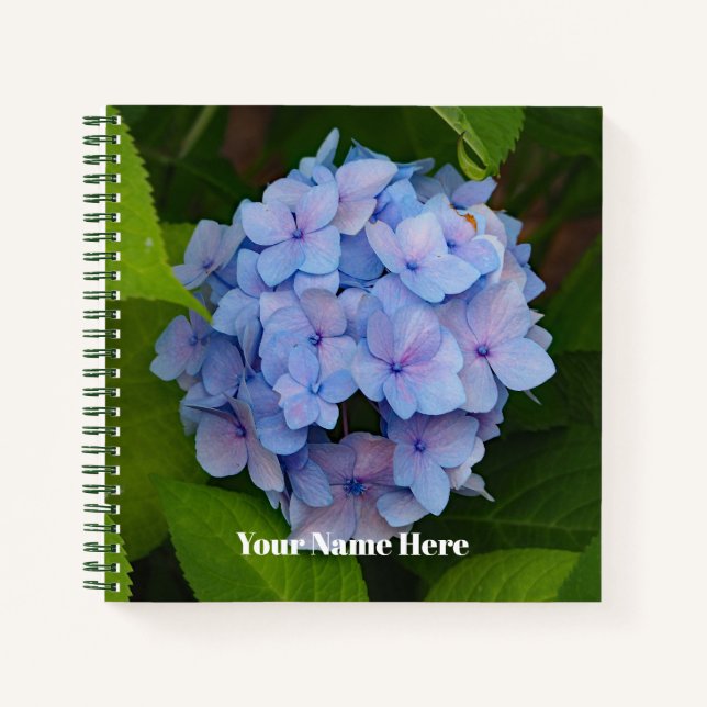 Cuaderno Foto floral azul y rosa de Hydrangea bonito (Anverso)