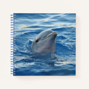 Cuaderno Foto linda de cara de delfín en el océano