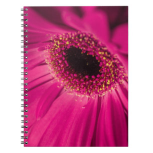 Cuaderno Foto, macro