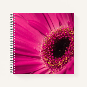 Cuaderno Foto, macro