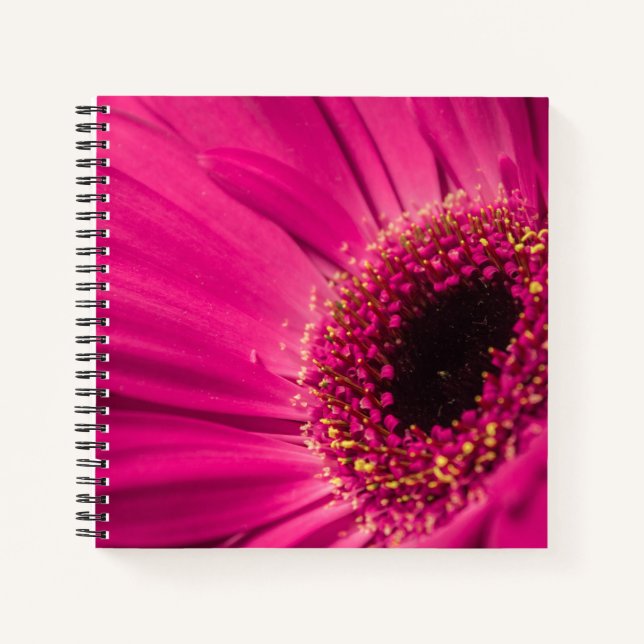 Cuaderno Foto, macro (Anverso)