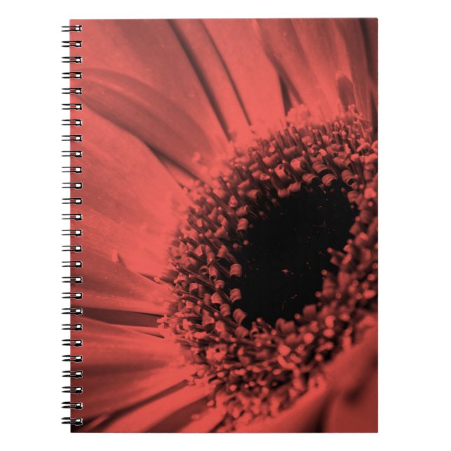 Cuaderno Foto, macro (Frente)