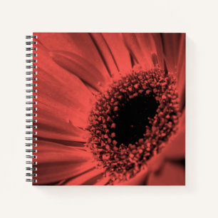 Cuaderno Foto, macro
