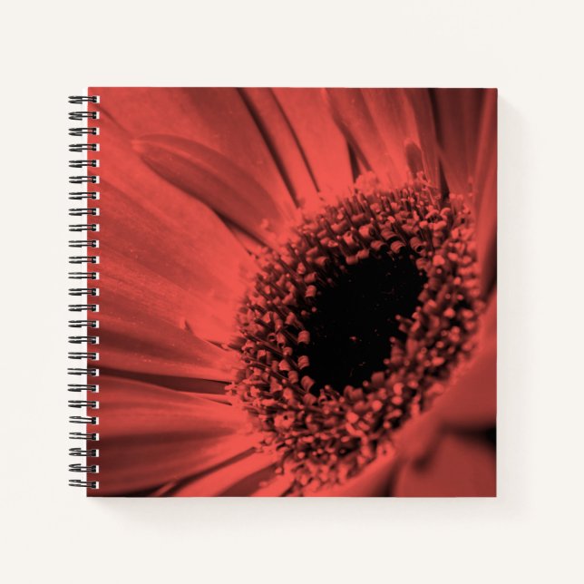 Cuaderno Foto, macro (Anverso)
