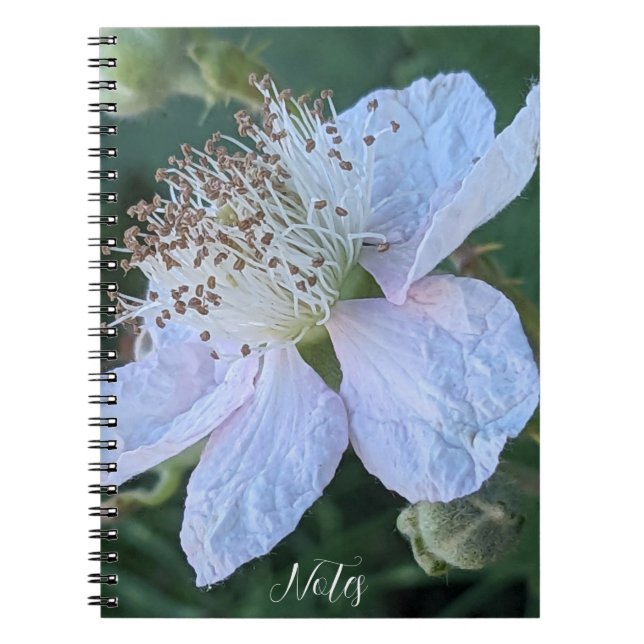 Cuaderno Foto macro de flor de zarzamora (Frente)