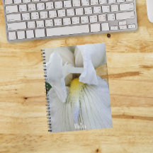 Foto macro de Iris con barba blanca