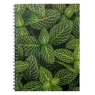 Cuaderno Foto macro de plantas con hojas verdes