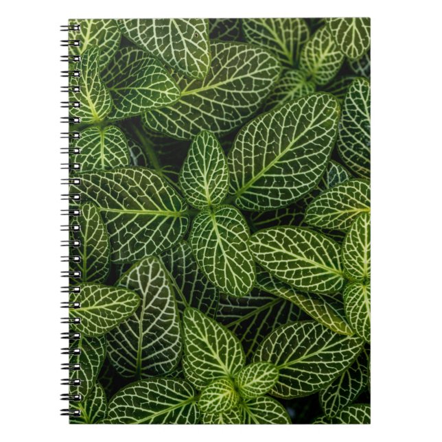 Cuaderno Foto macro de plantas con hojas verdes (Frente)