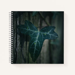 Cuaderno Foto natural de marfil oscuro