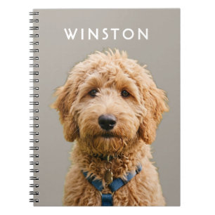 Cuaderno Foto Perros Personalizados con Nombre - LEER DESCR
