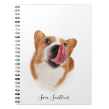 Foto personalizada/linda del Corgi
