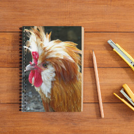 Cuaderno Foto polaca roja de pollo