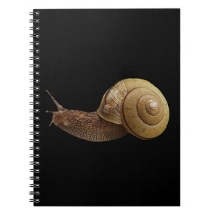 Cuaderno foto real de caracol