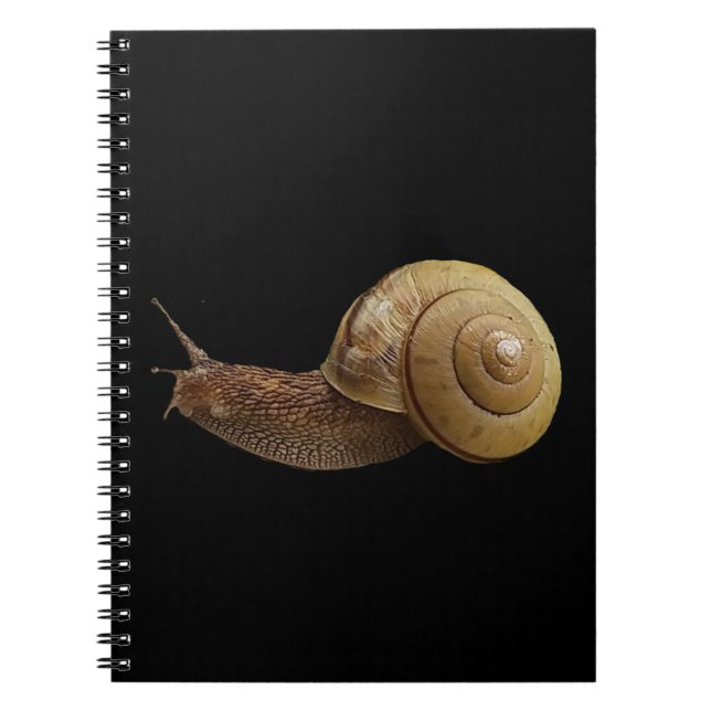 Cuaderno foto real de caracol (Frente)